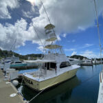 Experience Unmatched Adventure with the Best Fishing Charters in Costa Rica